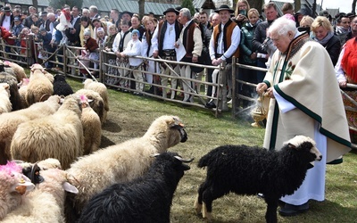 Ludźmierz. Święto Bacowskie, czyli żywa owieczka w kościele 