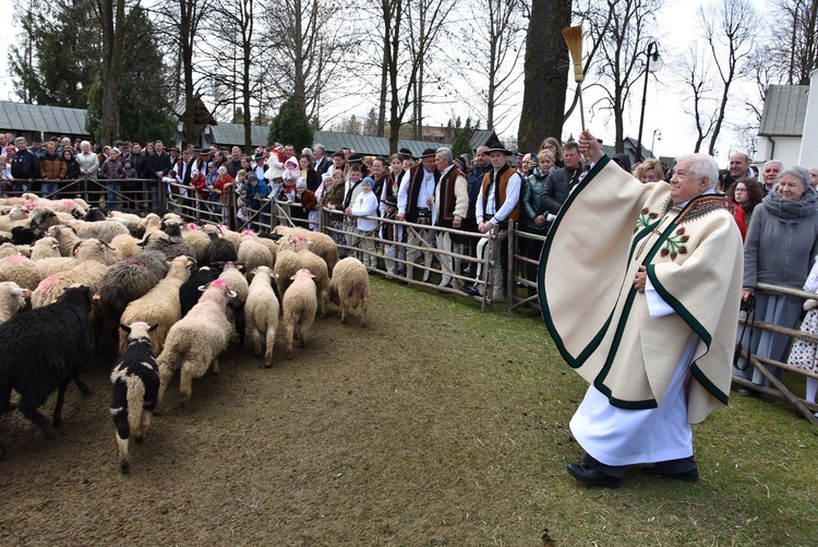 Sezon pasterski czas zacząć 