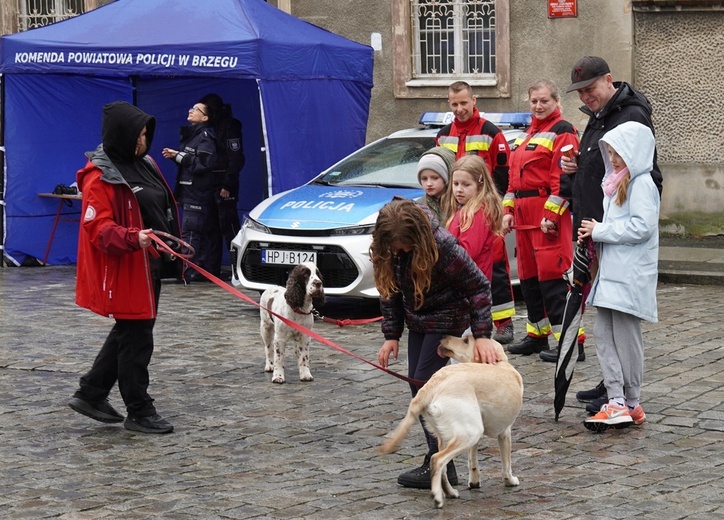 Brzeg. Spokrewnieni z Miłosierdziem 2022