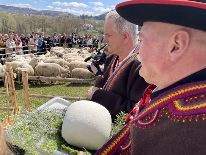 Beskidzka inauguracja sezonu pasterskiego w Rychwałdzie