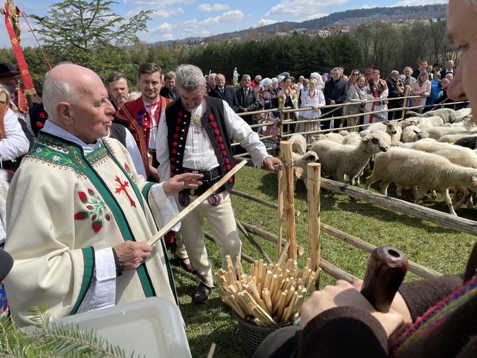 Beskidzka inauguracja sezonu pasterskiego w Rychwałdzie