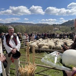 Beskidzka inauguracja sezonu pasterskiego w Rychwałdzie