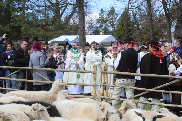 Beskidzka inauguracja sezonu pasterskiego w Rychwałdzie