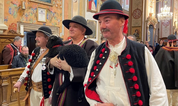 Pierwszy z prawej: baca Piotr Chrząszcz, który z Jeleśni do Rychwałdu przyprowadził swoje owce...