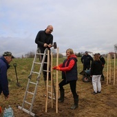 Aleja lip dla pokoleń