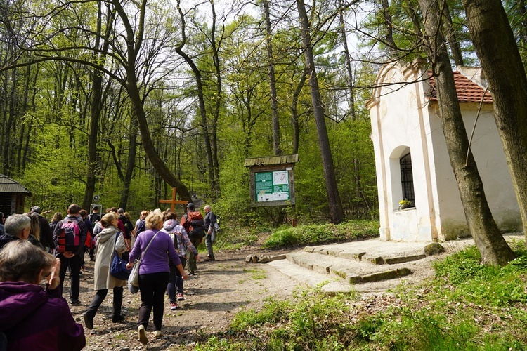 Piesza pielgrzymka z Sobótki na Ślężę 2022