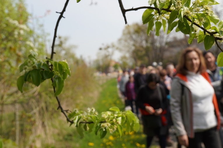 Piesza pielgrzymka z Sobótki na Ślężę 2022