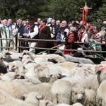 Rozpoczęcie sezonu pasterskiego w województwie śląskim