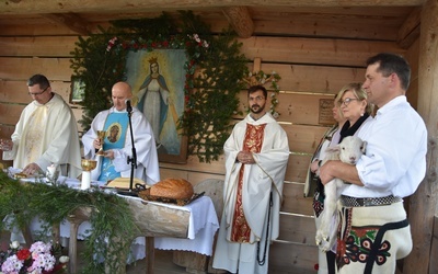 Małe Ciche. Żywa owieczka przy ołtarzu 