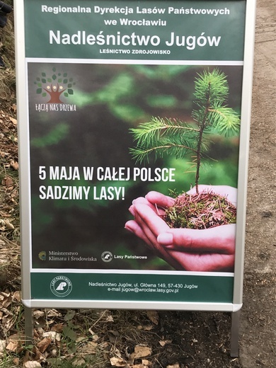 Biskup wziął udział w akcji sadzenia lasu