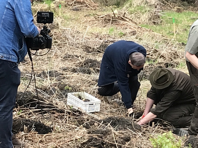 Biskup wziął udział w akcji sadzenia lasu