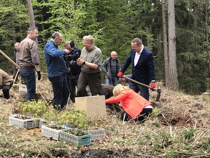 Biskup wziął udział w akcji sadzenia lasu