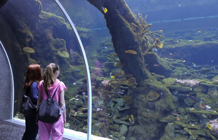 Orientarium w łódzkim zoo