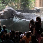 Orientarium w łódzkim zoo