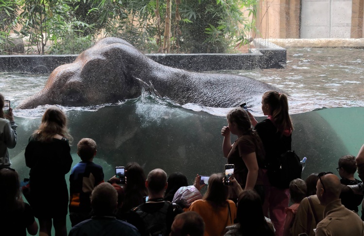 Orientarium w łódzkim zoo