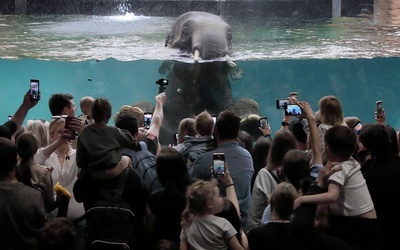 Orientarium w łódzkim zoo