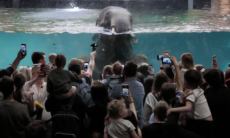 Orientarium w łódzkim zoo