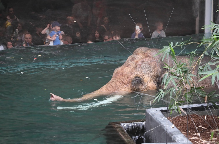 Orientarium w łódzkim zoo