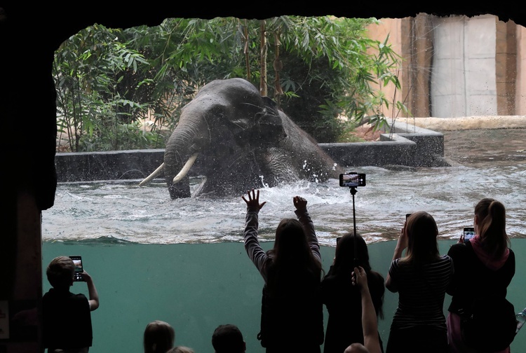 Orientarium w łódzkim zoo