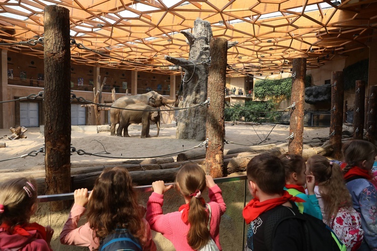 Orientarium w łódzkim zoo