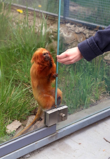 Orientarium w łódzkim zoo