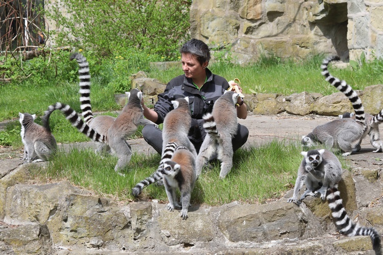 Orientarium w łódzkim zoo