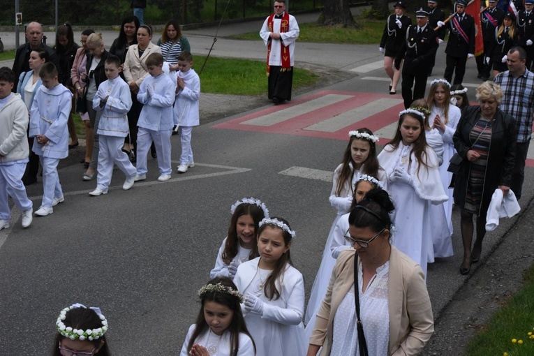 Procesja stanisławowska w Szczepanowie