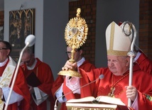 Kardynał Stanisław Dziwisz błogosławi relikwiarzem św. Stanisława.