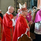 Świdnica. Uczcili patrona diecezji