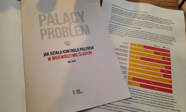 Śląskie. Polski Alarm Smogowy: kontrole pieców prowadzone powinny być częściej!