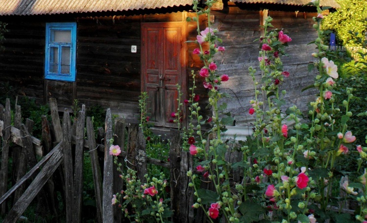 Wystawa fotografii Romana Pawluka