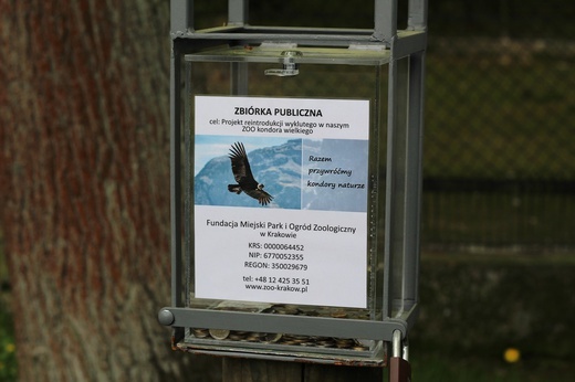 Spacer po krakowskim ZOO 