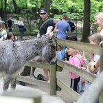 Spacer po krakowskim ZOO 