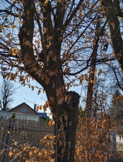 Piękna opowieść o Bogu i życiu człowieka