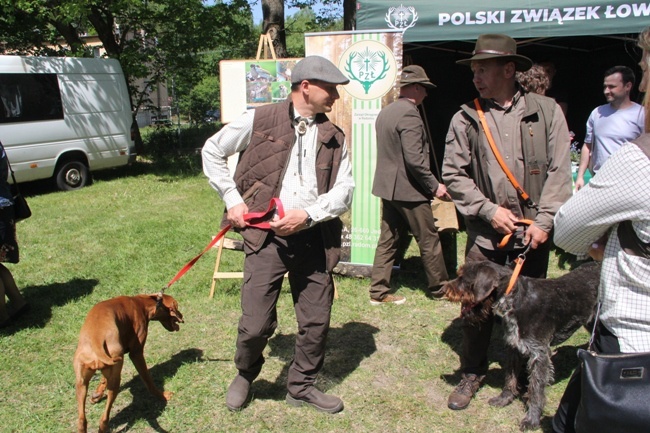  XXI Święto Polskiej Niezapominajki