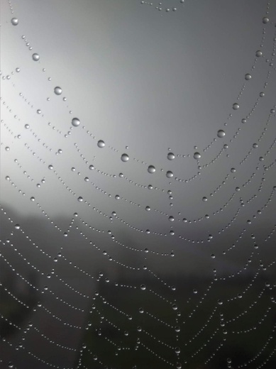 Życie jak mijający dzień