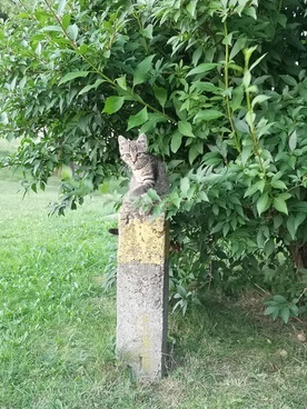 Natura wokół nas