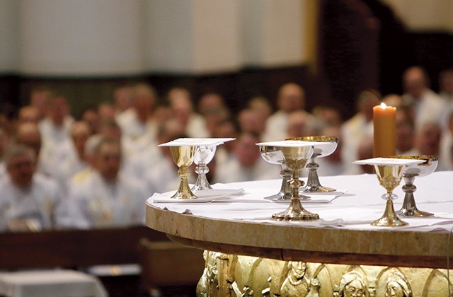 	W założeniu organ ten ma być przestrzenią dla refleksji nad potrzebami wiernych i codziennością parafii.