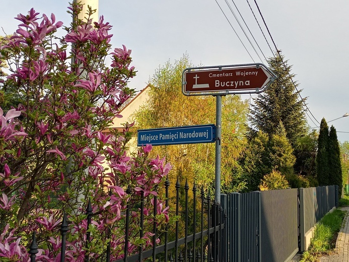 Pozorna trwałość