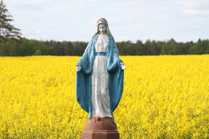 Słupca (parafia Blichowo). Piękno przyrody jest najwspanialszą ozdobą dla Maryi