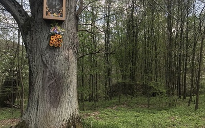 Ławeczka i moja babcia