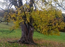 Czas płynie jak rzeka