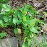 W ogrodzie zmysłów