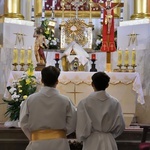 Limanowa. Wprowadzenie relikwii św. Charbela