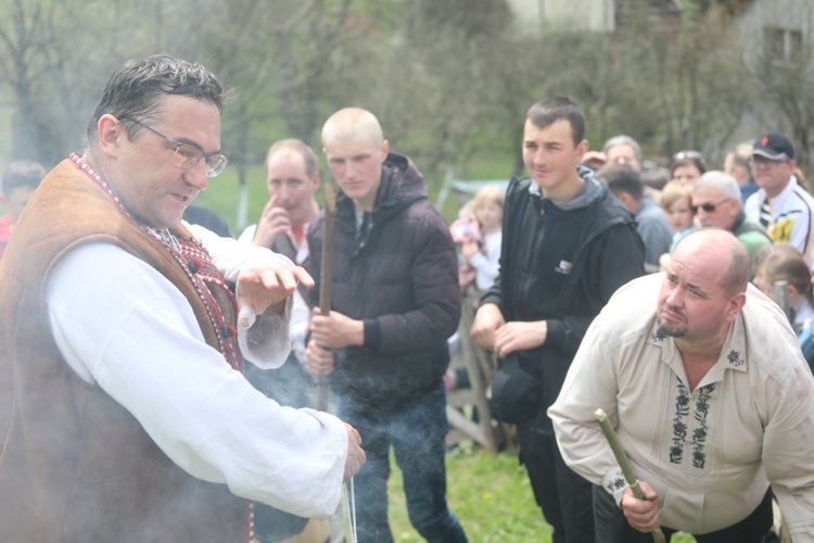 Mieszanie owiec u bacy Piotra Kohuta w Koniakowie