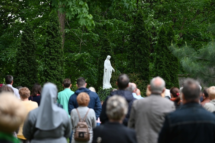 Spotkanie presynodalne w Świdnicy