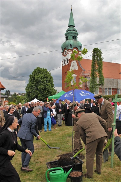 I Dni Dulcissimiańskie