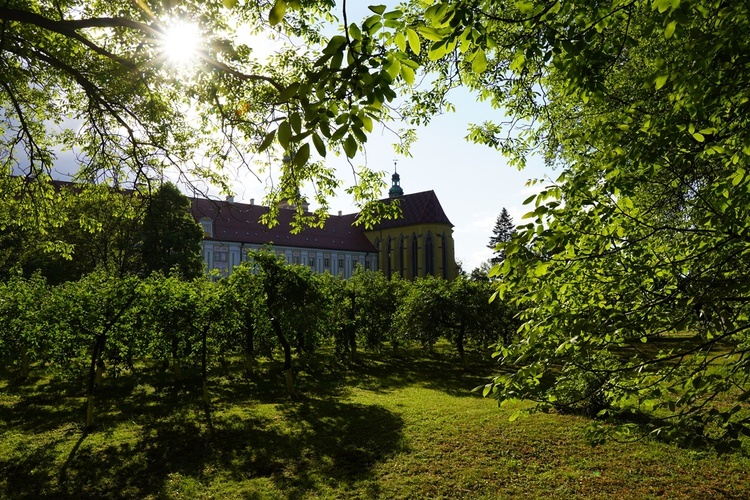 IX Majówka w Ogrodach Klasztornych w Trzebnicy