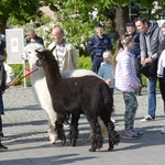 10. Marsz dla Życia i Rodziny