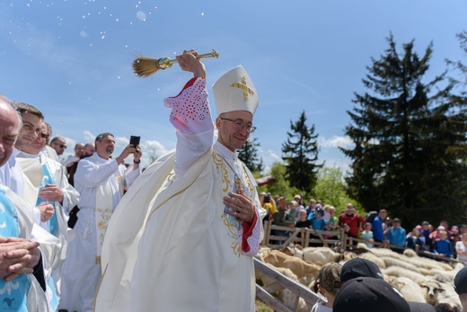 Wiosna ludów w Beskidzie Żywieckim